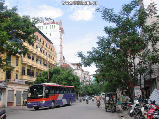 Phố Quốc Tử Giám, Quận Đống Đa, Hà Nội